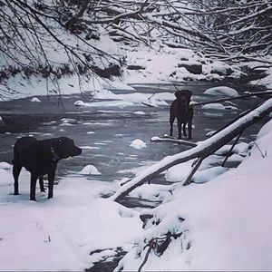 Meet your Posher, Katherine